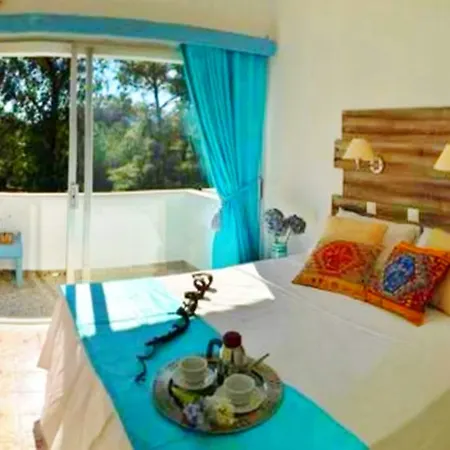 Hotel apartamentowy Pine Trees Art 2*