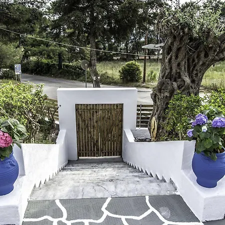 Pine Trees Art Hotel apartamentowy