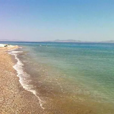 Pine Trees Art Ξενοδοχείο με διαμερίσματα 2*