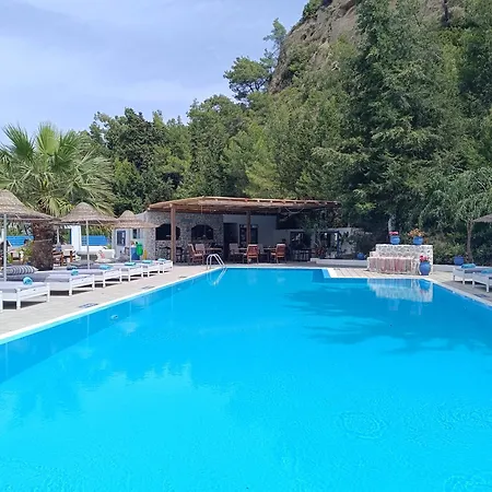 Pine Trees Art Aparthotel