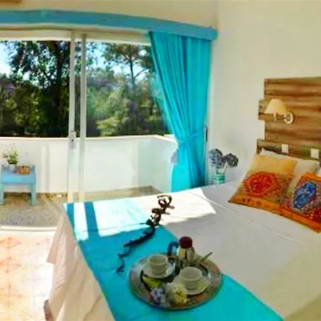 Ξενοδοχείο με διαμερίσματα Pine Trees Art Ιξιά