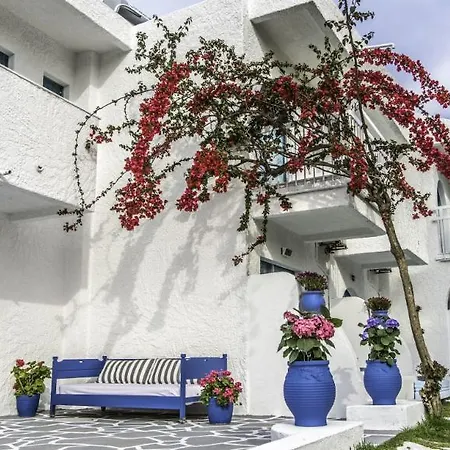 Pine Trees Art Ιξιά