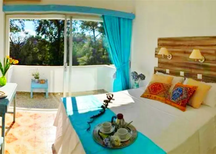 Апарт-отель Pine Trees Art Иксиа