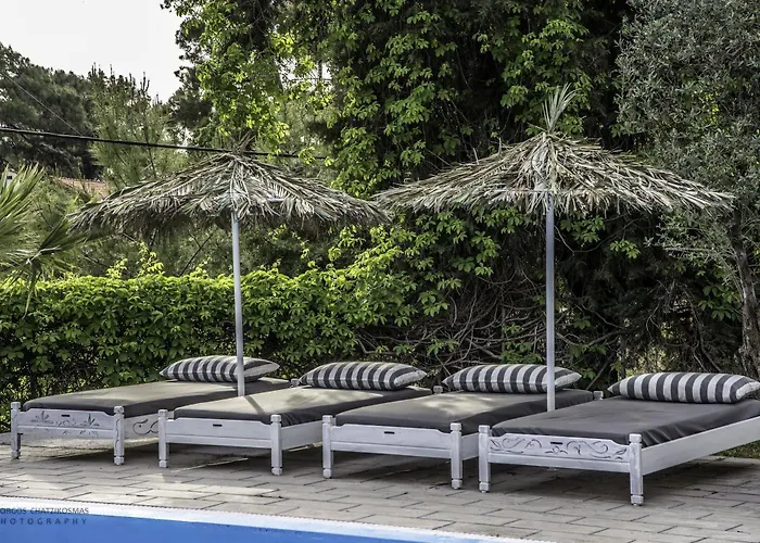 Pine Trees Art 2* Иксиа