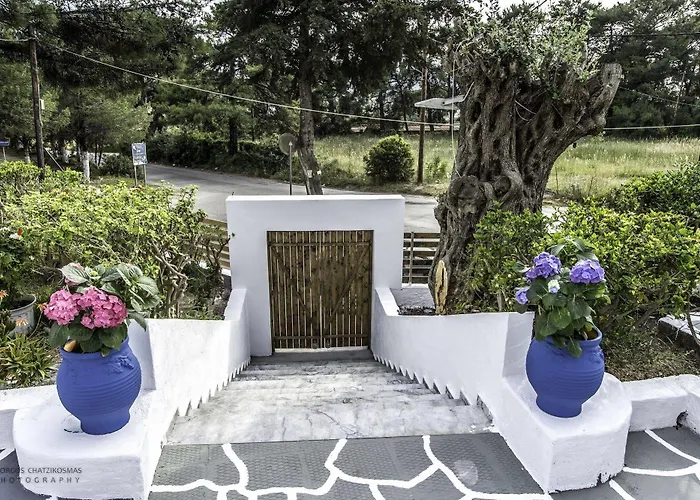 Pine Trees Art Hotel de apartamente