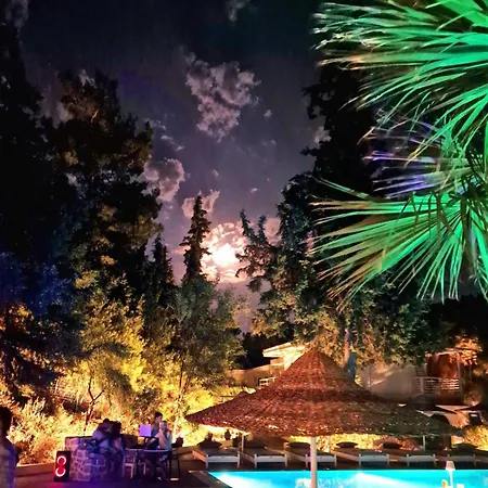 Pine Trees Art Lejlighedshotel Ixia (Rhodes)