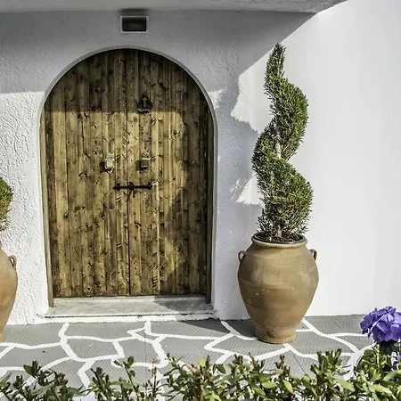 Pine Trees Art Lejlighedshotel Ixia (Rhodes)