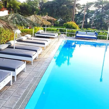 Lejlighedshotel Pine Trees Art