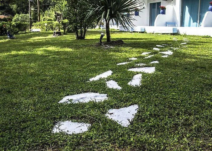 Aparthotel Pine Trees Art